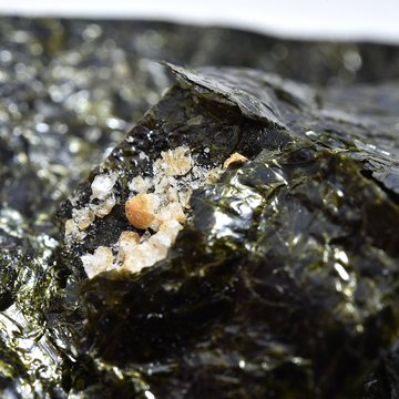 山本海苔店 kitty猫海苔片 玄米味